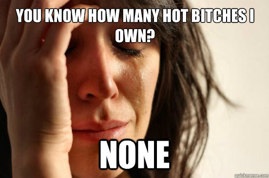You know how many hot bitches I own? None  First World Problems