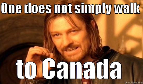 ONE DOES NOT SIMPLY WALK  TO CANADA Boromir