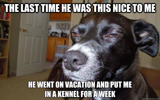 the last time he was this nice to me he went on vacation and put me
in a kennel for a week  Skeptical Mutt