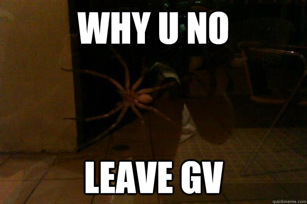 Why U No  Leave GV - Why U No  Leave GV  Misc