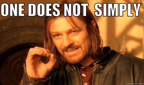 ONE DOES NOT  SIMPLY   Boromir
