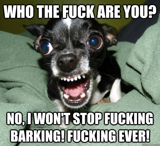 Who the fuck are you? no, i won't stop fucking barking! fucking ever!  Chihuahua Logic