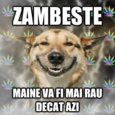 Zambeste  maine va fi mai rau decat azi  Stoner Dog