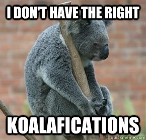 I don't have the right koalafications - I don't have the right koalafications  Misc