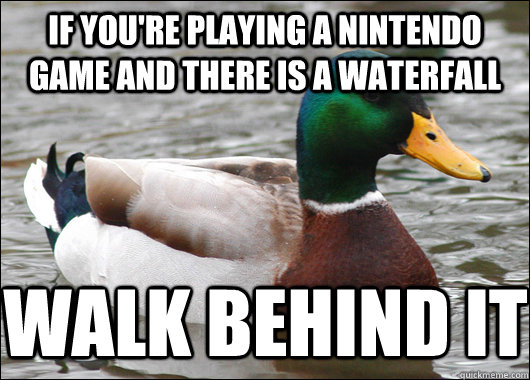 IF YOU'RE PLAYING A NINTENDO GAME AND THERE IS A WATERFALL WALK BEHIND IT  Actual Advice Mallard