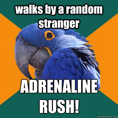 walks by a random stranger ADRENALINE RUSH!  Paranoid Parrot