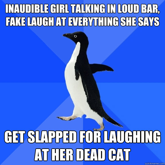 inaudible girl talking in loud bar, fake laugh at everything she says get slapped for laughing at her dead cat  Socially Awkward Penguin