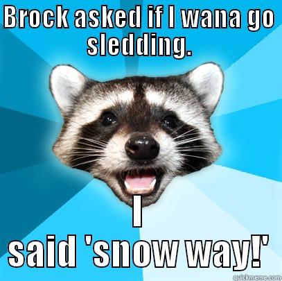 BROCK ASKED IF I WANA GO SLEDDING. I SAID 'SNOW WAY!' Lame Pun Coon