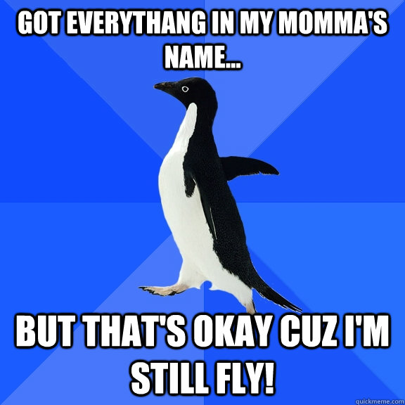 Got everythang in my momma's name... But that's okay cuz I'm still Fly!  Socially Awkward Penguin