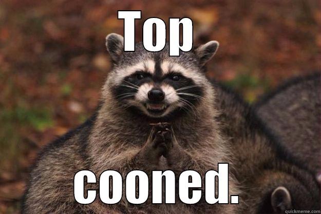 TOP COONED. Evil Plotting Raccoon
