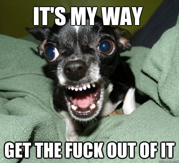 It's my way Get the fuck out of it  Chihuahua Logic
