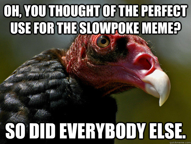 Oh, you thought of the perfect use for the slowpoke meme? So did everybody else.  Buzzkill Buzzard