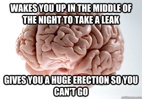 Wakes you up in the middle of the night to take a leak Gives you a huge erection so you can't go  Scumbag Brain