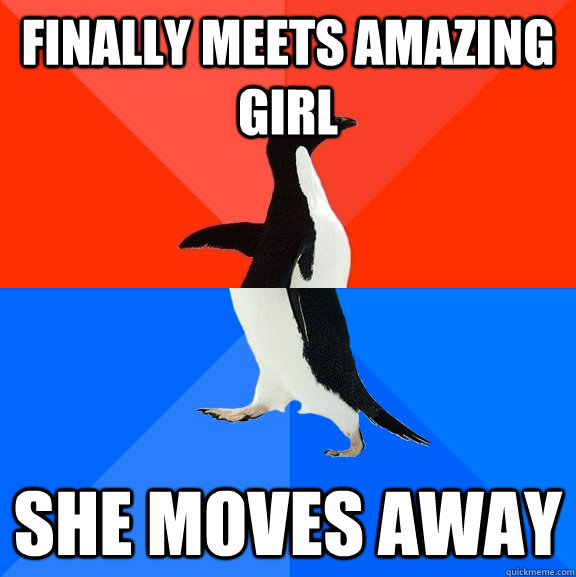 Finally meets amazing girl She moves away  Socially Awesome Awkward Penguin