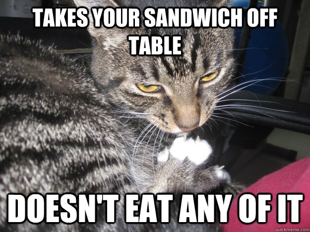 Takes your sandwich off table Doesn't eat any of it  Scumbag Cat