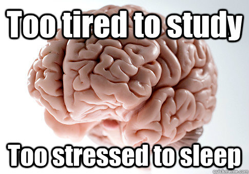 Too tired to study Too stressed to sleep   Scumbag Brain