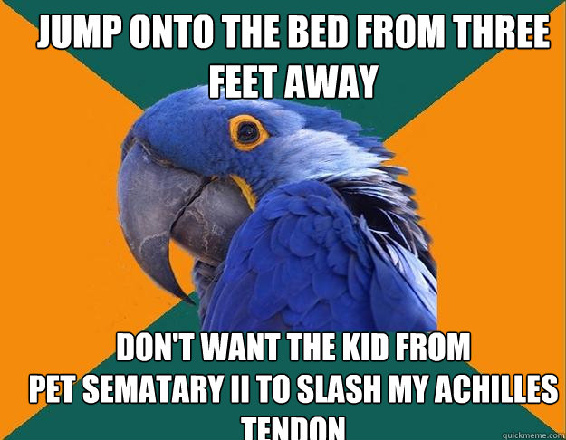 jump onto the bed from three feet away don't want the kid from
pet sematary ii to slash my achilles tendon  Paranoid Parrot