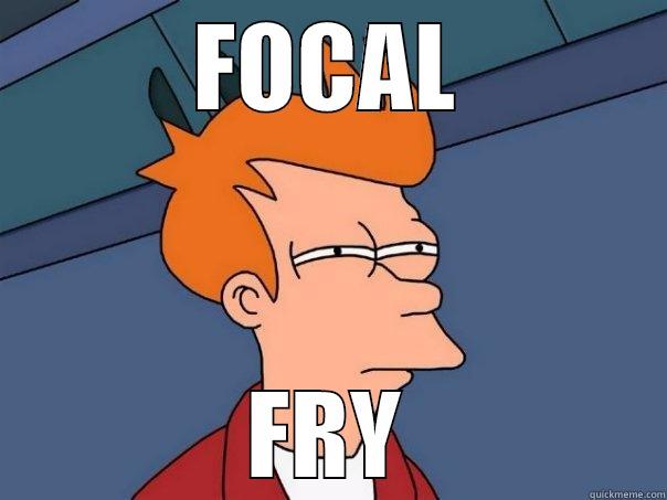 FOCAL FRY Futurama Fry