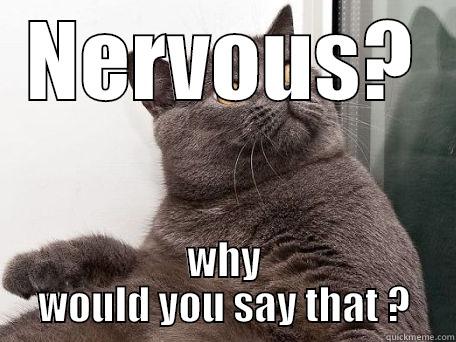 NERVOUS? WHY WOULD YOU SAY THAT ? conspiracy cat