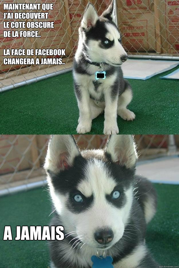maintenant que
j'ai decouvert
le cote obscure
de la force..

la face de facebook
changera a jamais.. a jamais  Insanity puppy