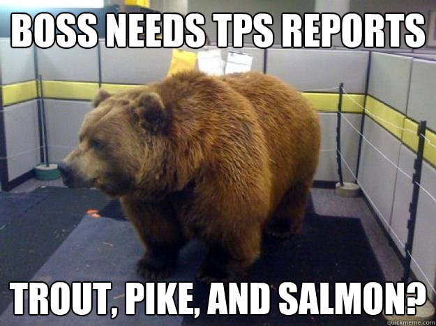 Boss needs tps reports trout, pike, and salmon?  Office Bear