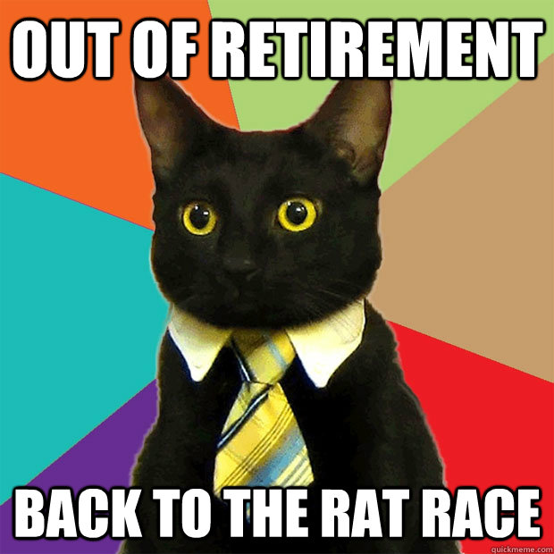 OUT OF RETIREMENT  BACK TO THE RAT RACE - OUT OF RETIREMENT  BACK TO THE RAT RACE  Business Cat