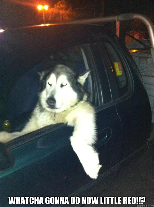  Whatcha gonna do now little red!!?  Mean Dog