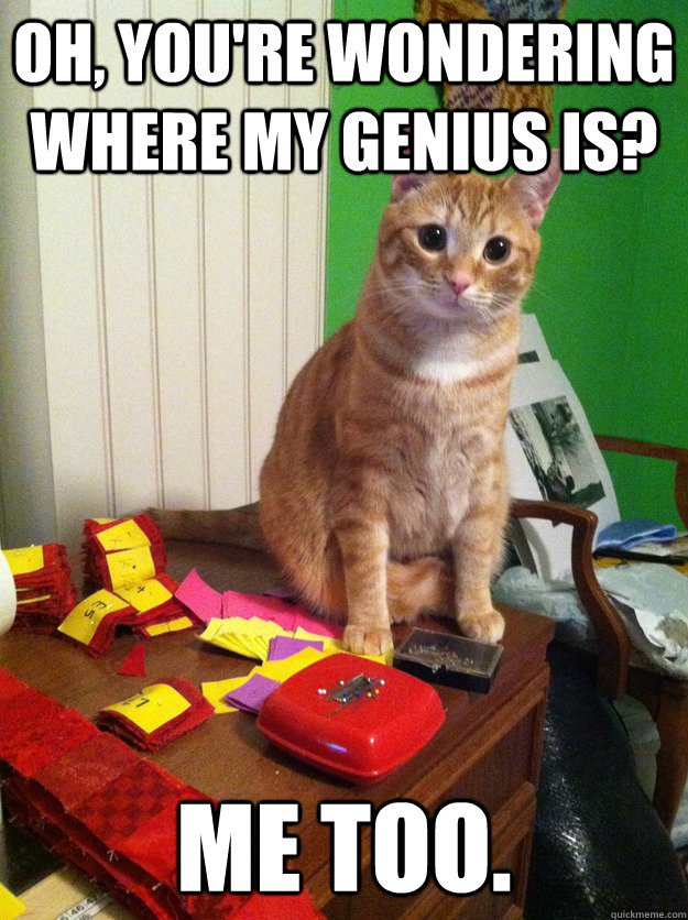 oh, you're wondering where my genius is? me too. - oh, you're wondering where my genius is? me too.  Secret Genius Cat
