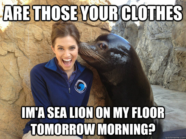 are those your clothes im'a sea lion on my floor tomorrow morning?  Crazy Secret