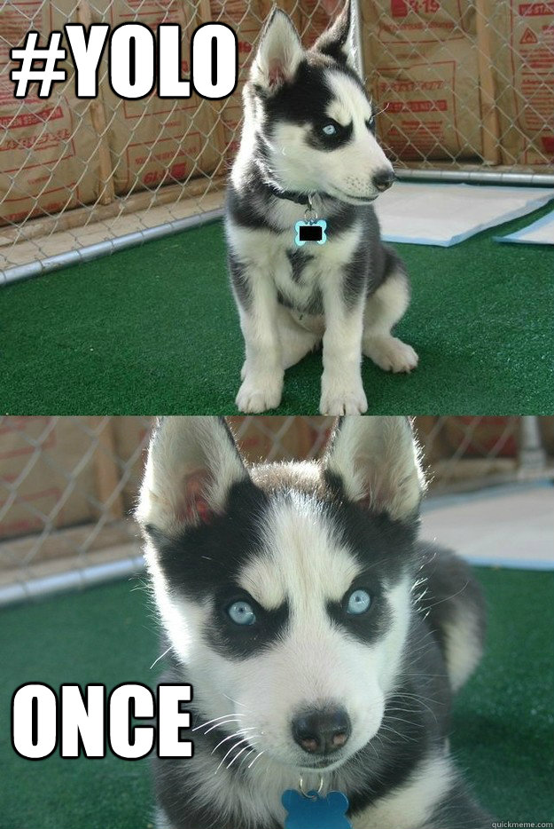 #YOLO Once  Insanity puppy