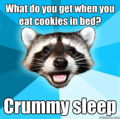 What do you get when you eat cookies in bed? Crummy sleep - What do you get when you eat cookies in bed? Crummy sleep  Lame Pun Coon
