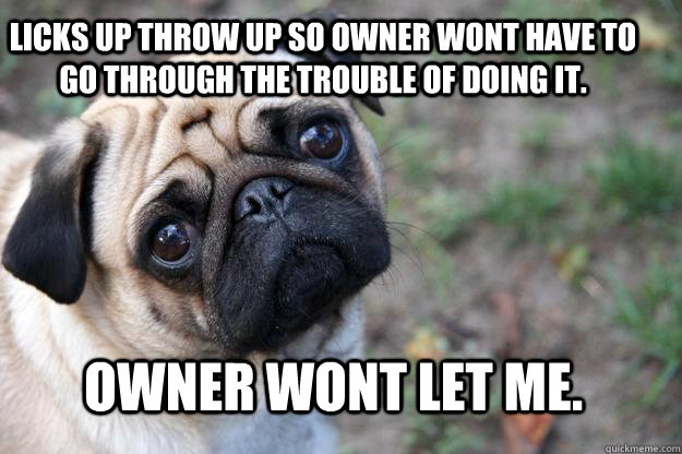 LICKS UP THROW UP SO OWNER WONT HAVE TO GO THROUGH THE TROUBLE OF DOING IT. OWNER WONT LET ME.  First World Dog problems