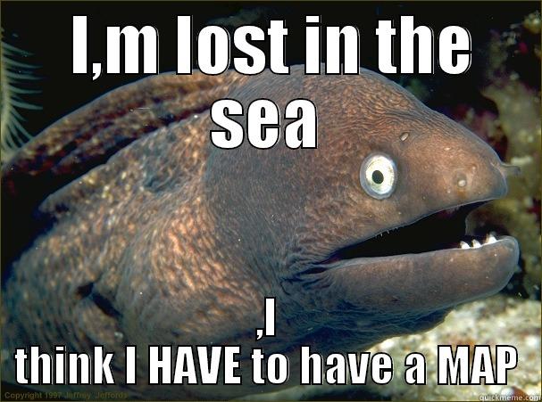  I,M LOST IN THE SEA ,I THINK I HAVE TO HAVE A MAP Bad Joke Eel