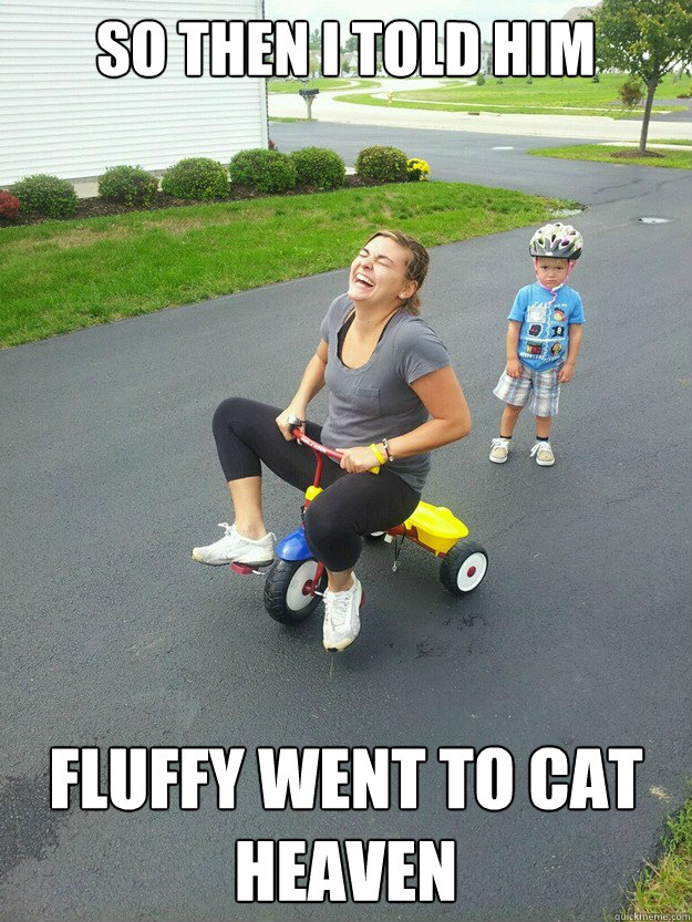 So then i told him Fluffy went to cat heaven  Hysterically Psycho Mom