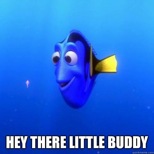  Hey there little buddy   dory