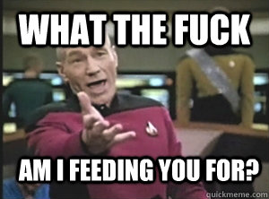 What the fuck am i feeding you for?  Annoyed Picard