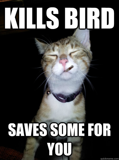 kills bird saves some for you - kills bird saves some for you  Good Cat Greg