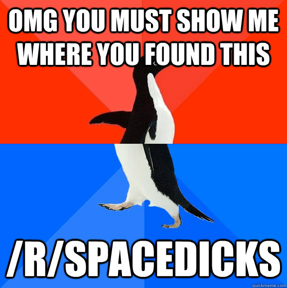 omg you must show me where you found this /r/spacedicks  Socially Awesome Awkward Penguin