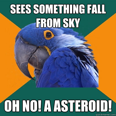 Sees something fall from sky Oh NO! A asteroid!  Paranoid Parrot