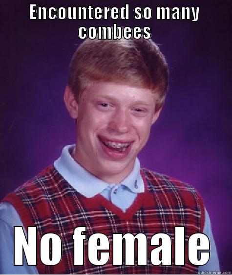 ENCOUNTERED SO MANY COMBEES NO FEMALE Bad Luck Brian