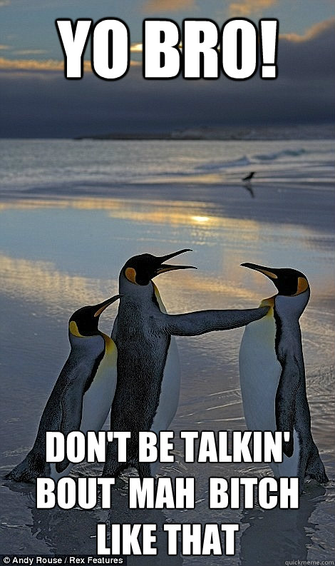 Yo Br0! Don't be talkin' bout  mah  bitch like that  Fighting penguins