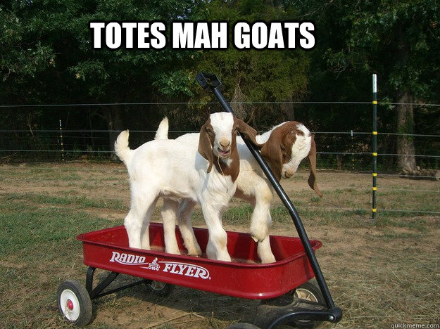 TOTES MAH GOATS  TOTES MAH GOATS