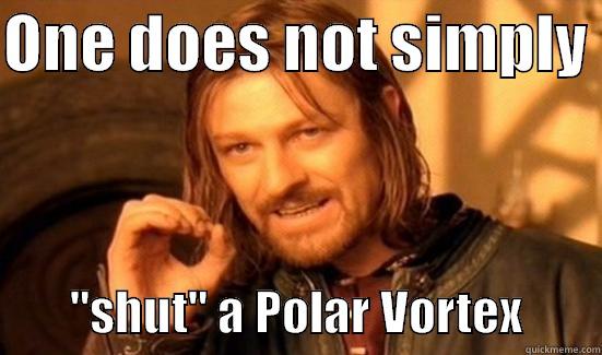 ONE DOES NOT SIMPLY          