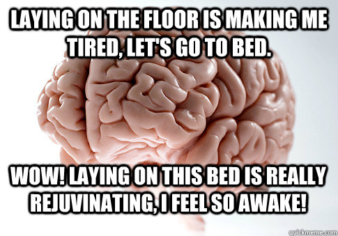 laying on the floor is making me tired, let's go to bed. Wow! laying on this bed is really rejuvinating, i feel so awake!  Scumbag Brain