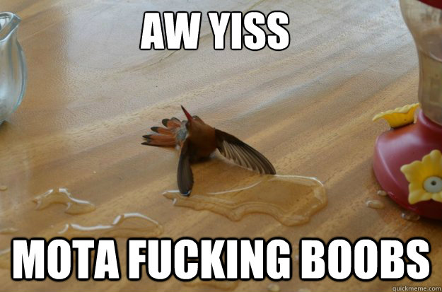 AW YISS MOTA FUCKING BOOBS - AW YISS MOTA FUCKING BOOBS  aw yiss