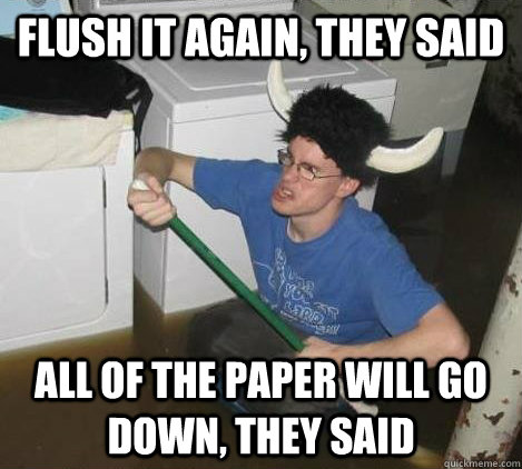 Flush it again, they said All of the paper will go down, they said  They said