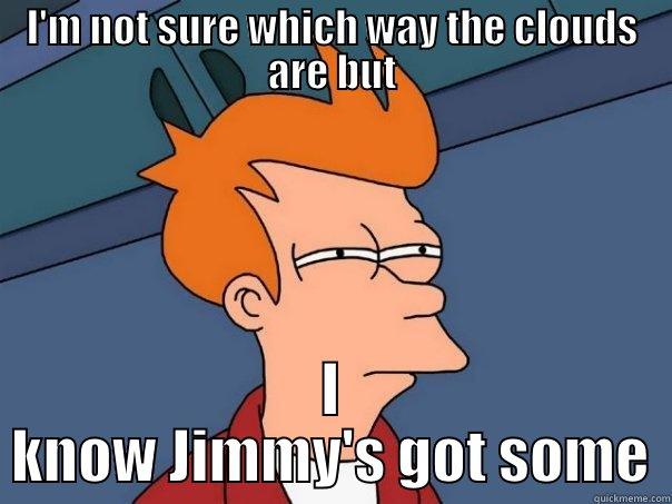 I'm not sure which way the clouds are but - I'M NOT SURE WHICH WAY THE CLOUDS ARE BUT I KNOW JIMMY'S GOT SOME Futurama Fry