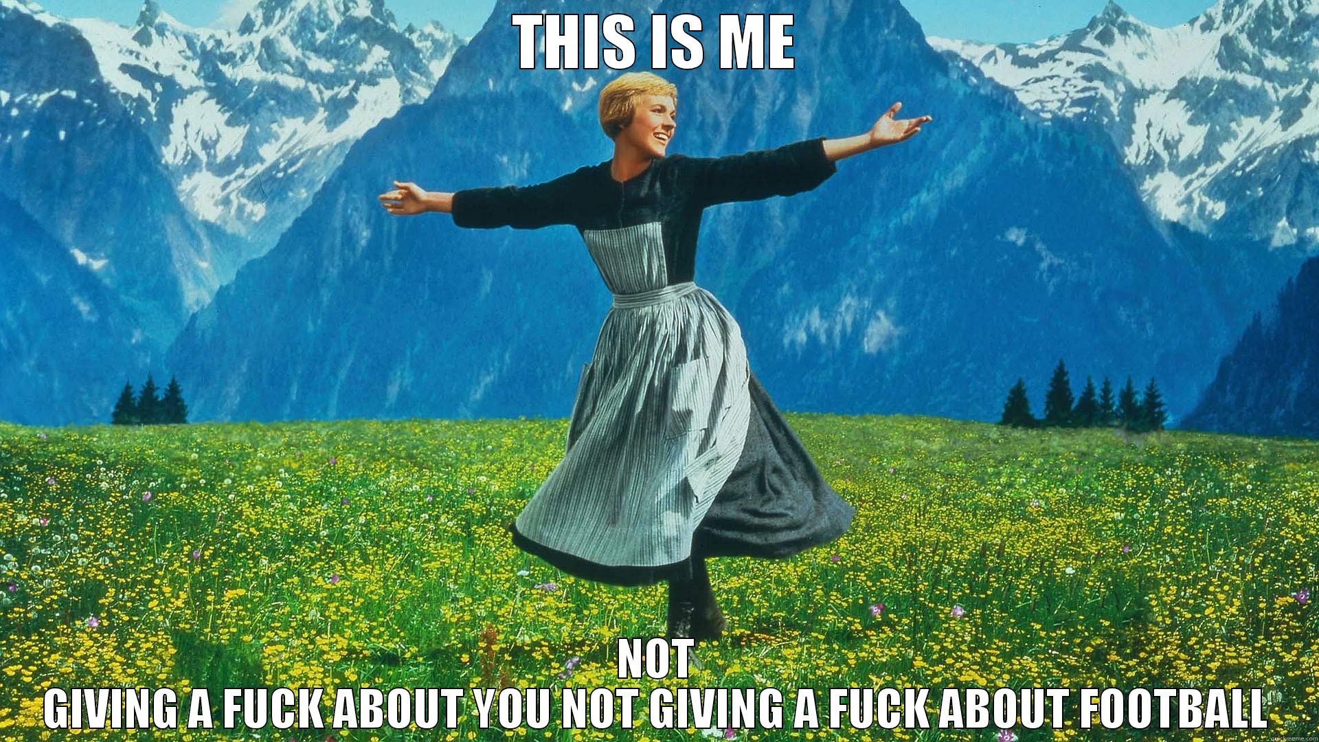 THIS IS ME NOT GIVING A FUCK ABOUT YOU NOT GIVING A FUCK ABOUT FOOTBALL Misc