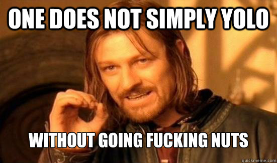 One Does Not Simply yolo Without going fucking nuts  Boromir