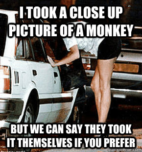 I took a close up picture of a monkey but we can say they took it themselves if you prefer  FB karma whore